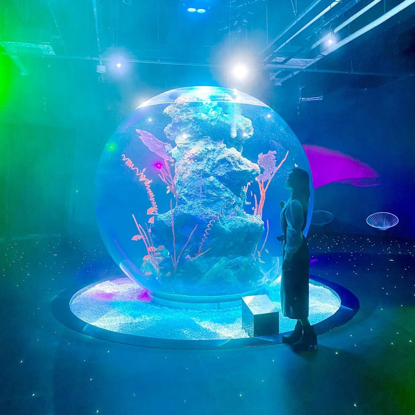 球体の水槽が浮かぶ幻想的な展示空間