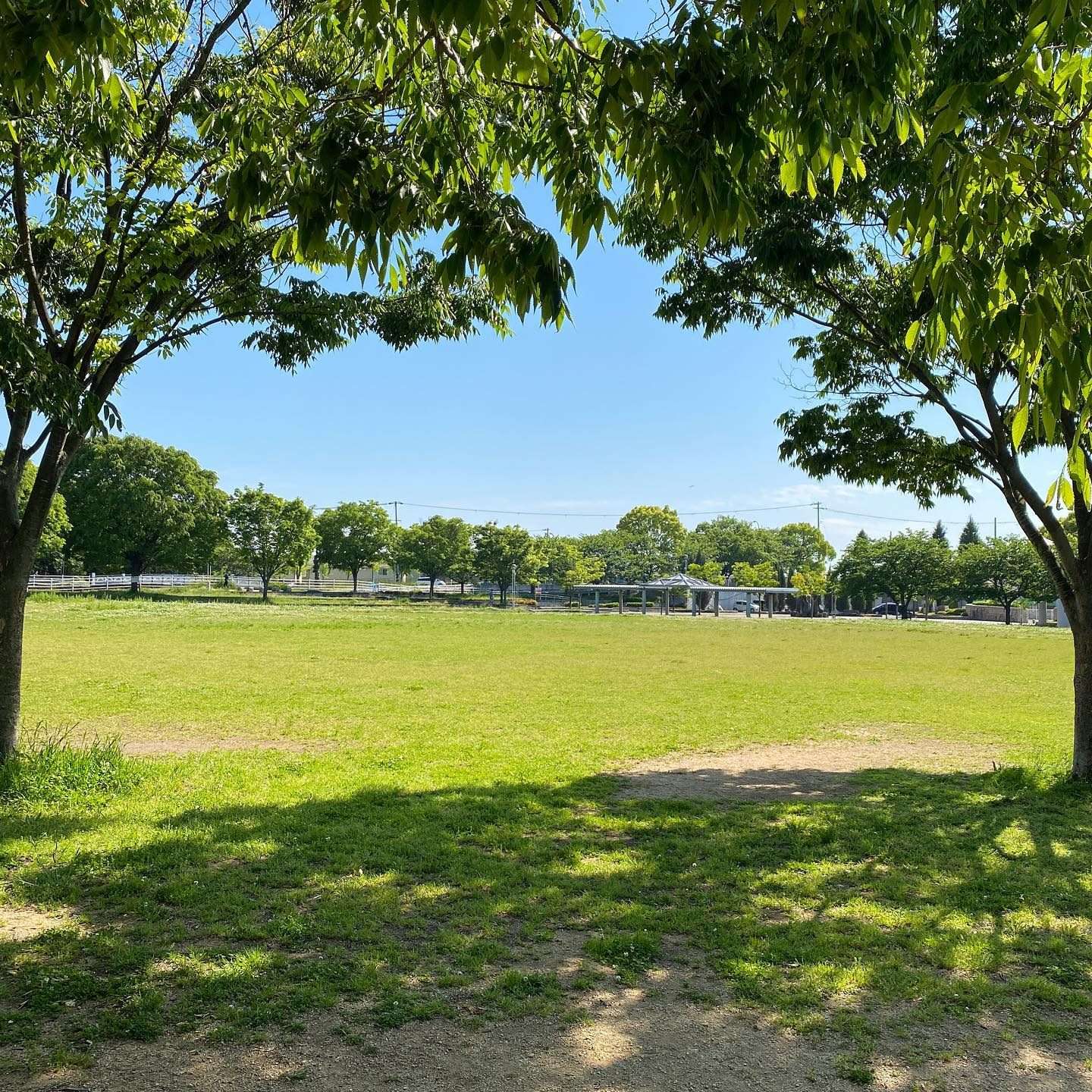 お店のすぐ近くにある緑いっぱいの津田公園