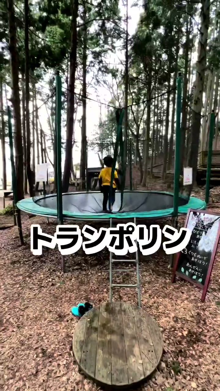 森の中に置かれたトランポリンで遊ぶ子ども