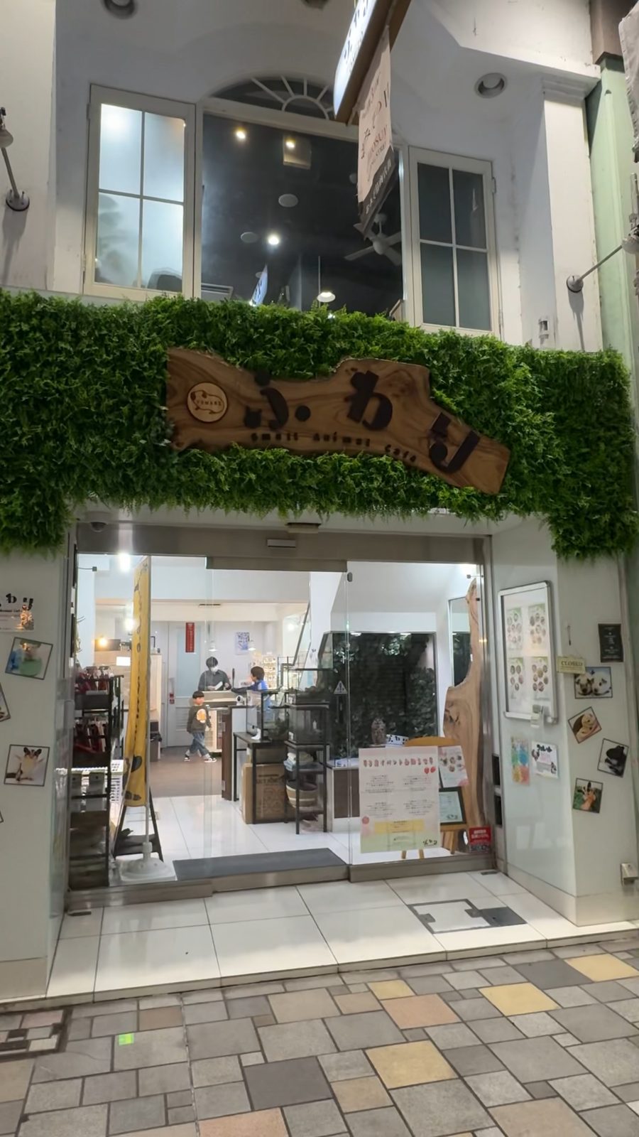 壁面グリーンが目印のSmall Animal Cafe ふわりの外観