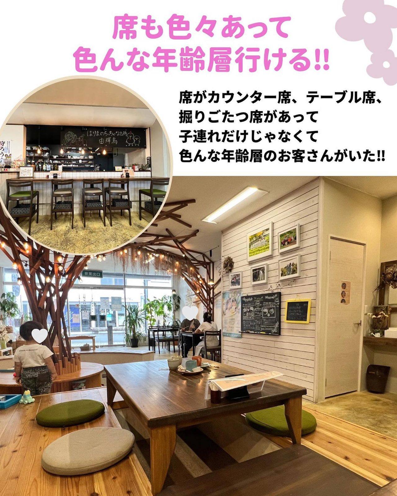 掘りごたつ席やテーブル席がある明るい店内
