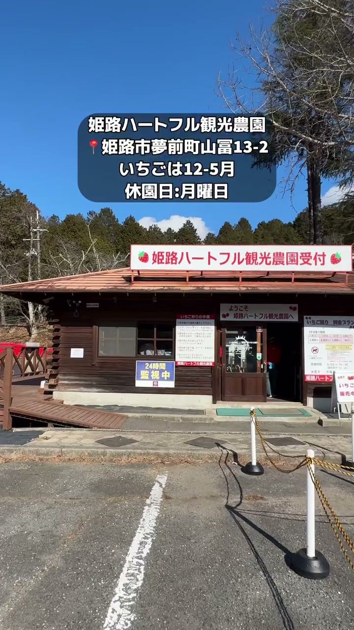 手のひらに乗る大きないちご