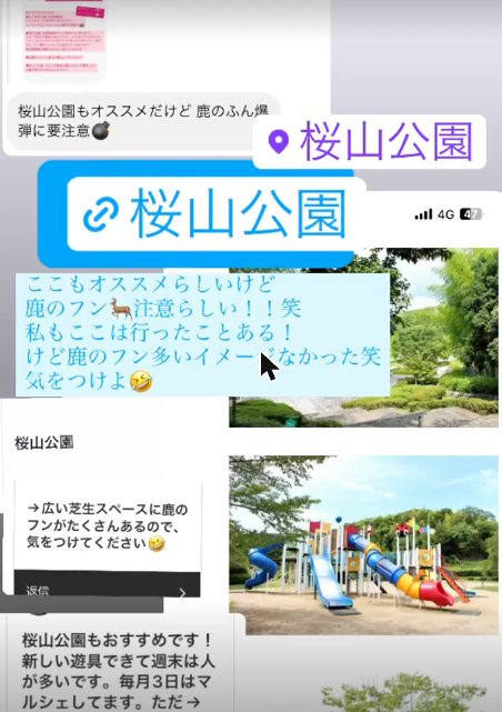 桜山公園についての回答と公園の様子