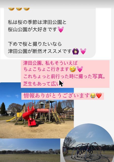津田公園と桜山公園の桜の季節についての回答と公園の様子