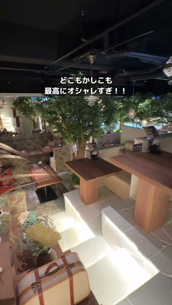 木々と石段が配された異空間のような店内