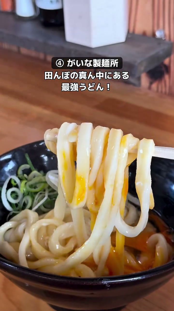 がいな製麺所のコシのあるうどん