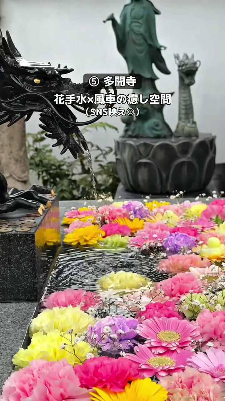 色とりどりの花が浮かぶ多聞寺の花手水