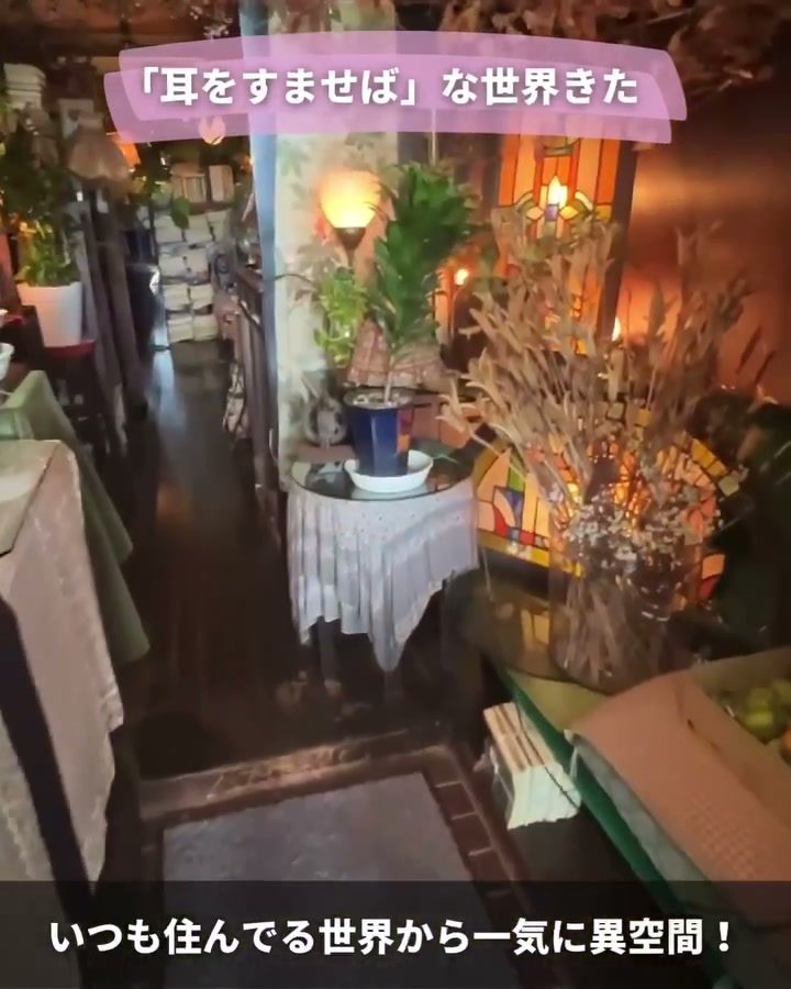 植物とランプに彩られた奥へ続く店内