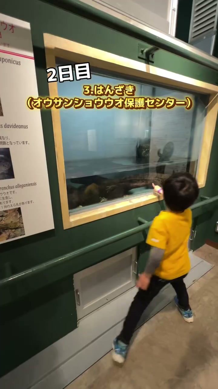 オオサンショウウオ保護センターの水槽を見学する子ども