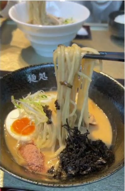 箸で持ち上げた麺と味玉がのった鶏白湯ラーメン