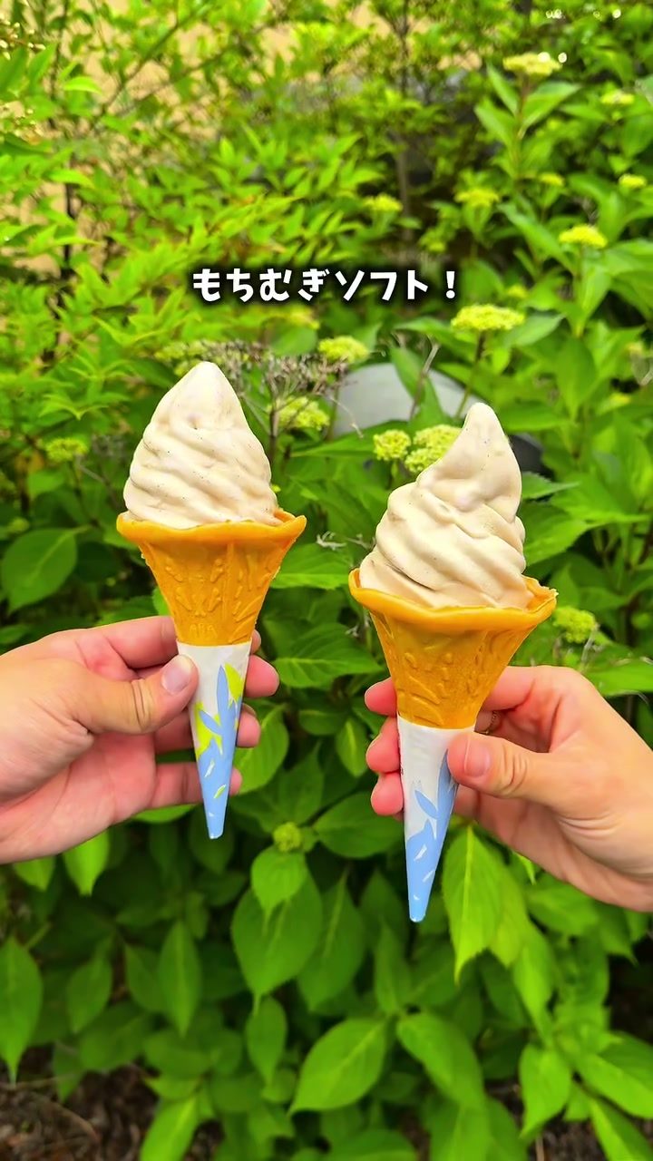 ふんわり巻かれたもちむぎソフトクリーム