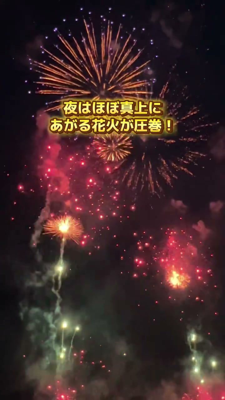 夜空に大きく開く花火