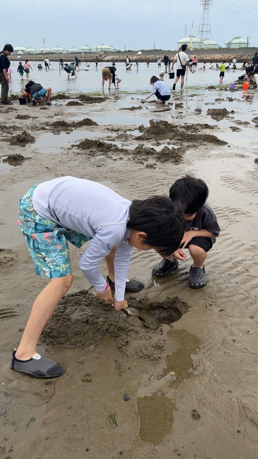 干潟で夢中になって貝を掘る子どもたち