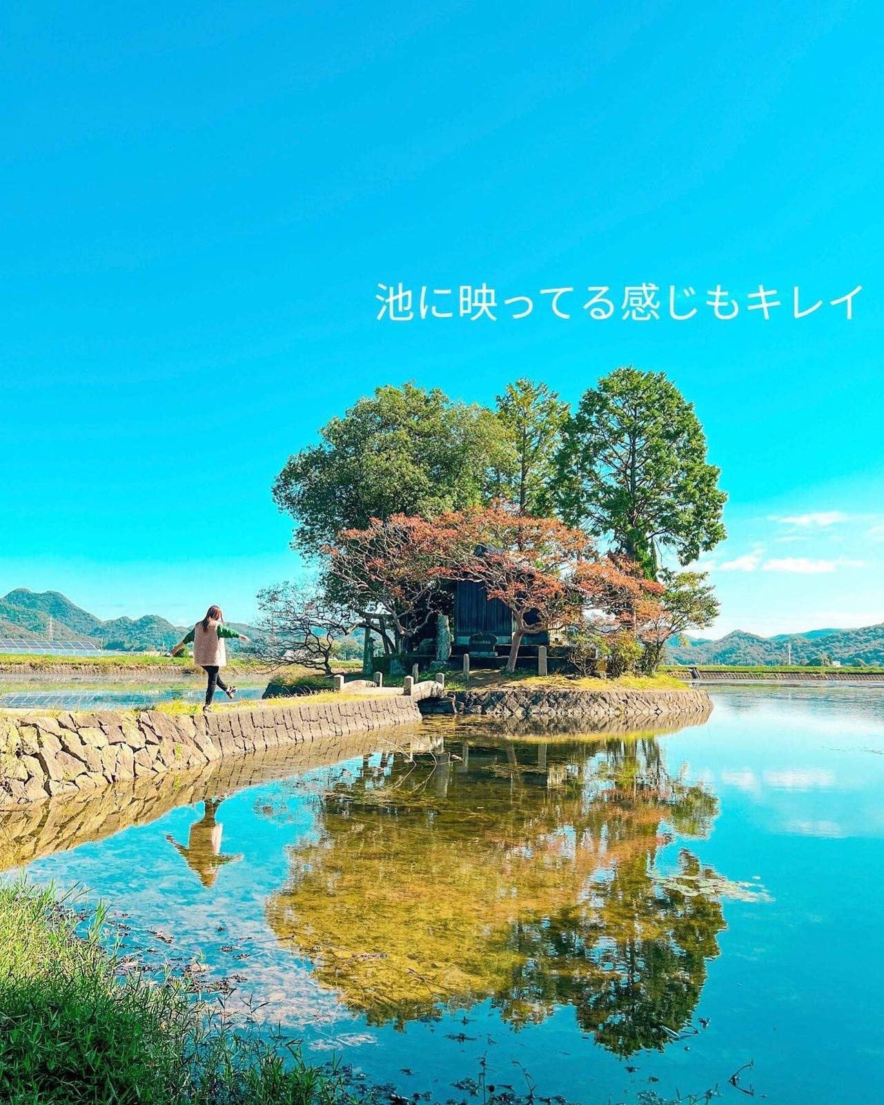青空と木々が水面に映り込む池の中の須濱神社