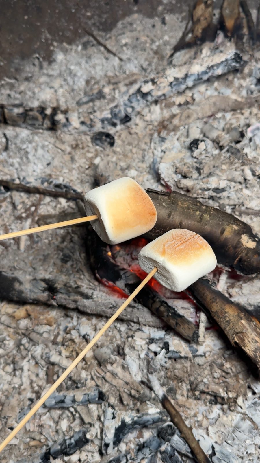 焚き火であぶるデザートの焼きマシュマロ