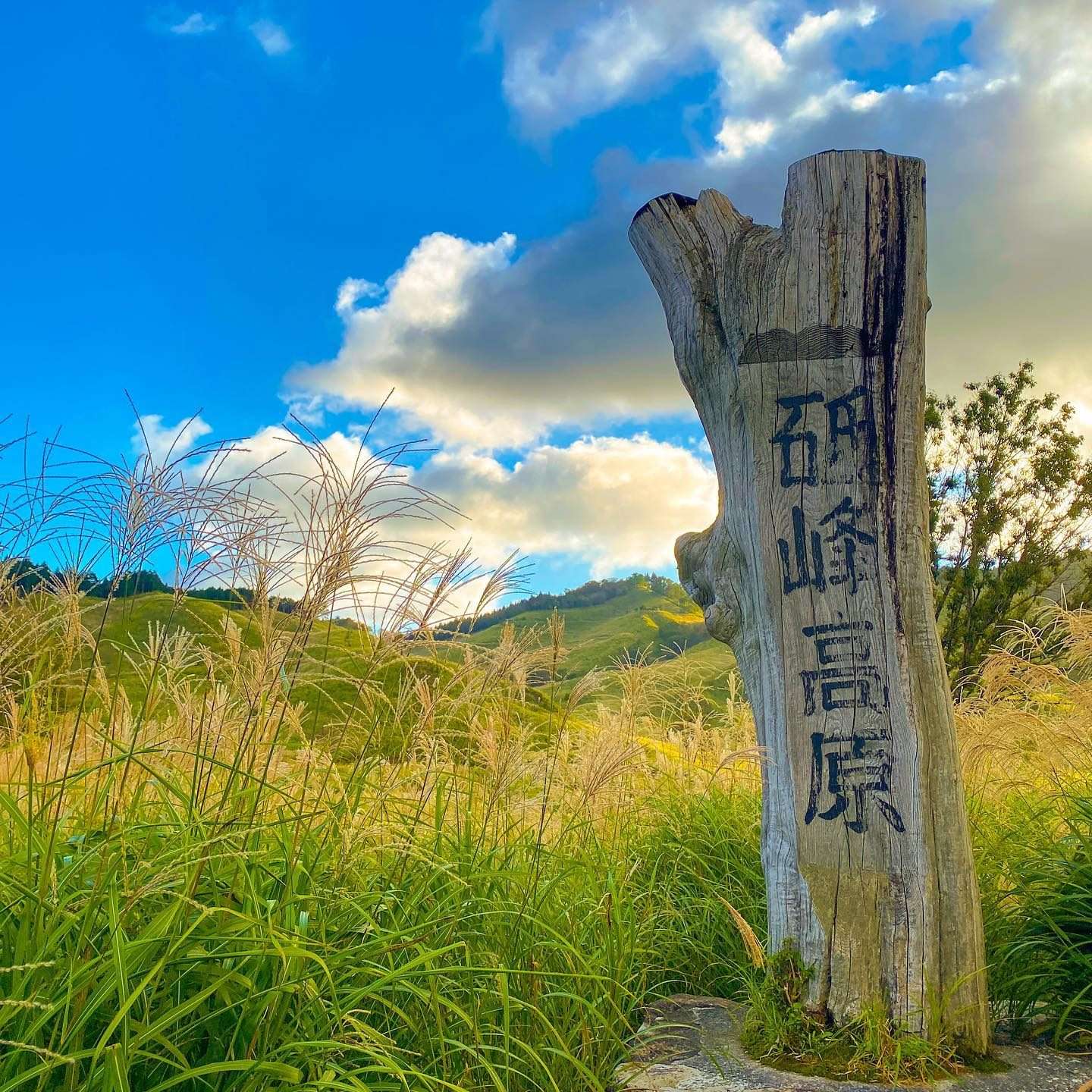 青空の下に立つ砥峰高原の木製看板