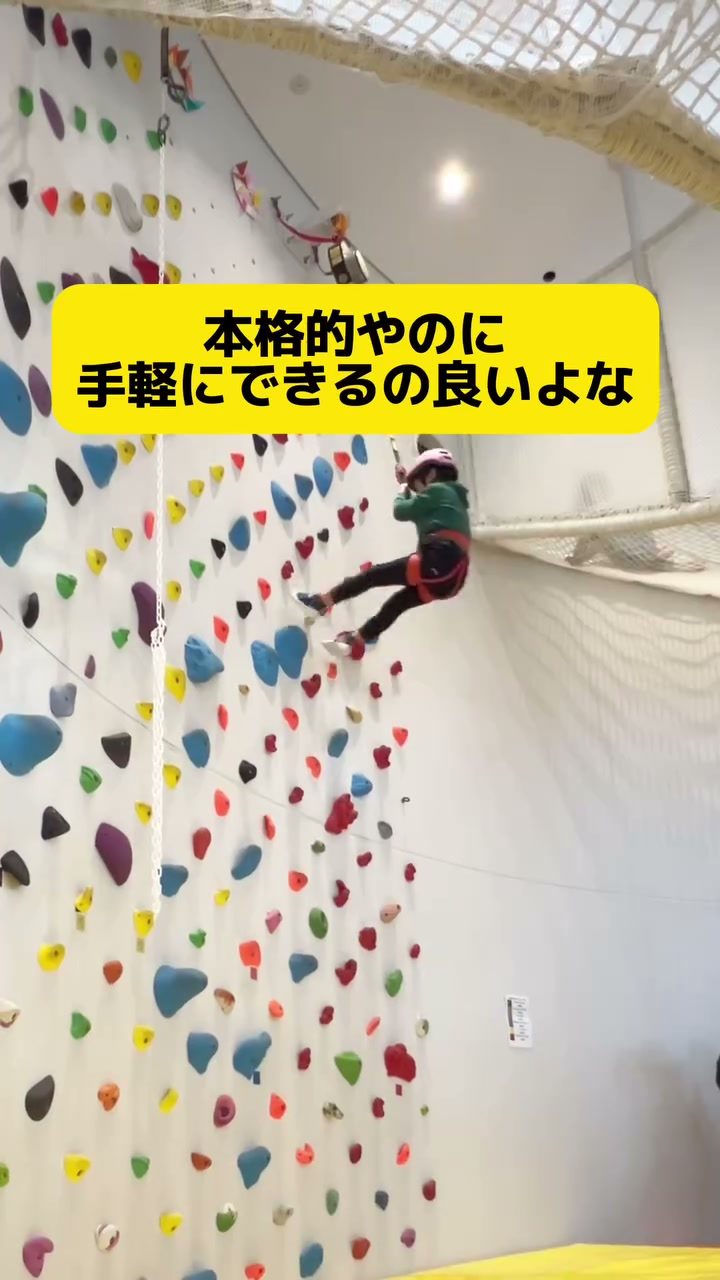 カラフルなホールドが並ぶ本格的なボルダリングウォール