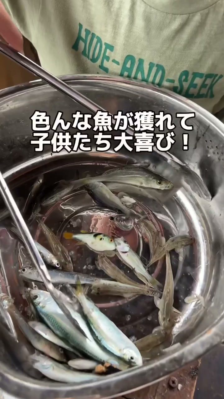 ボウルいっぱいに獲れた小魚